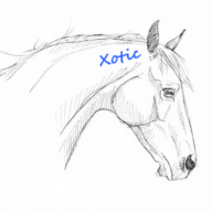 Xotic