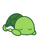 TurtleVibe