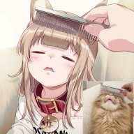 Kuri
