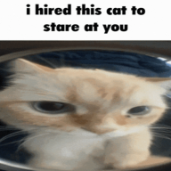 tellymcfr