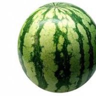 watormelon