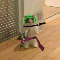 Sir_Pig