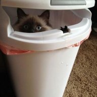 TrashTasteUwU