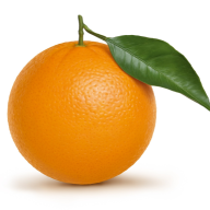 OrangeLegacyz